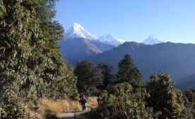 Langtang gosaikunda trek