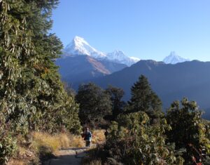 Langtang gosaikunda trek