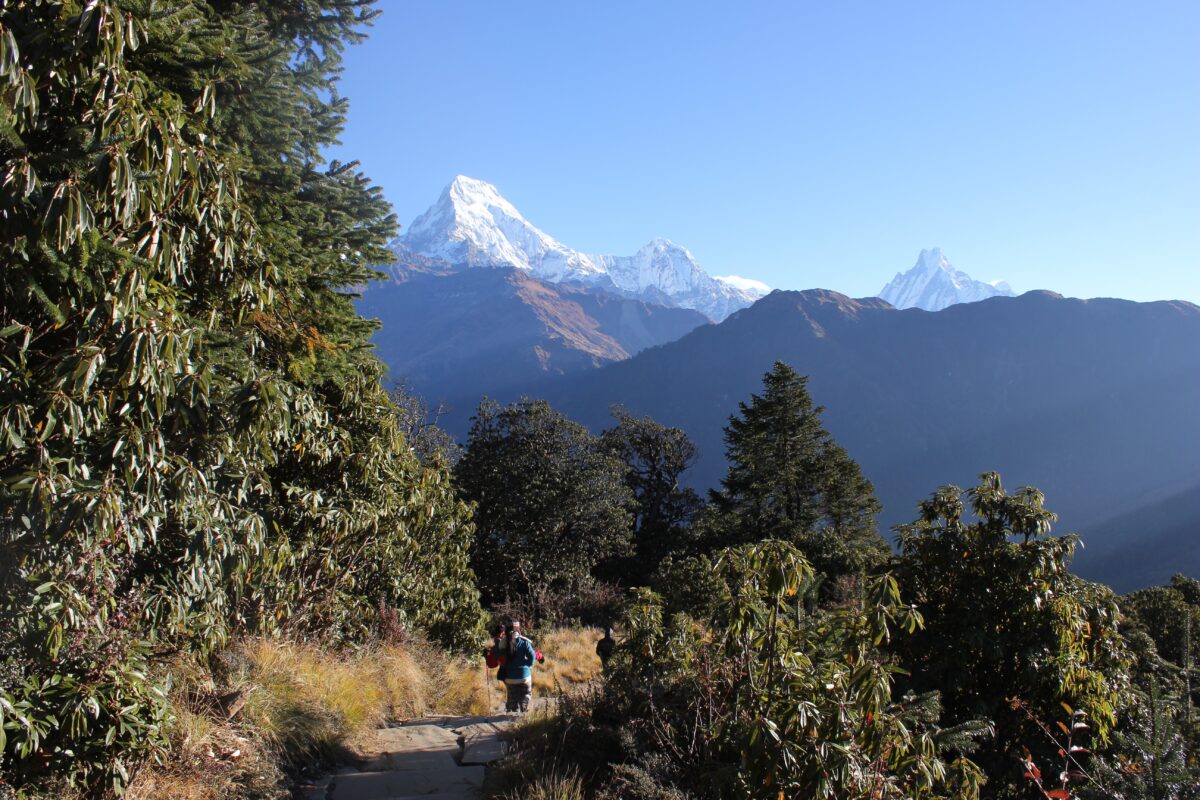 Langtang gosaikunda trek