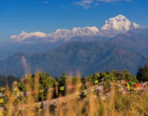 Ghorepani Poon Hill Trek