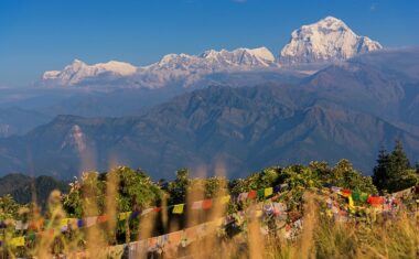 Ghorepani Poon Hill Trek