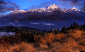 Ghorepani Poon Hill Trek